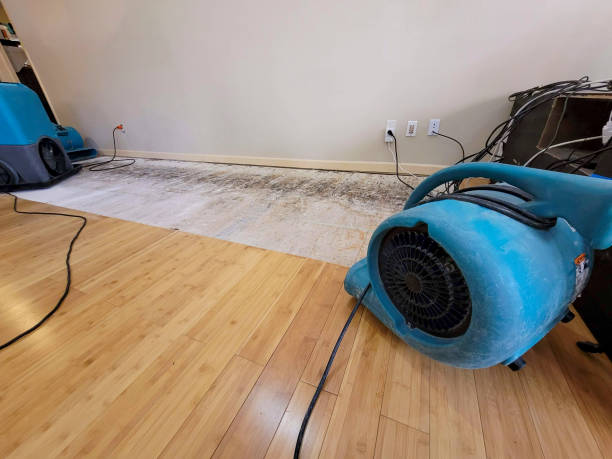 Professional Sewage Cleanup technician working in Hebron, PA